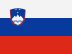 SI flag